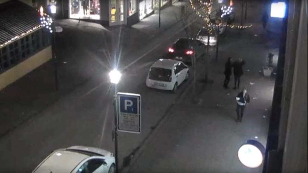 Birna Brjansdottir 3