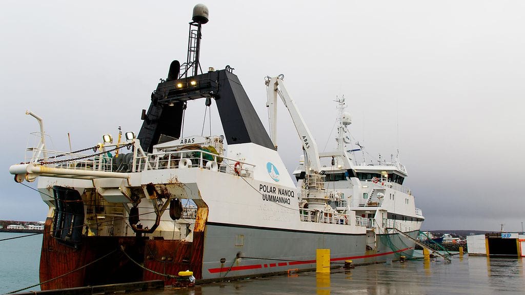 Birna Brjansdottir 4