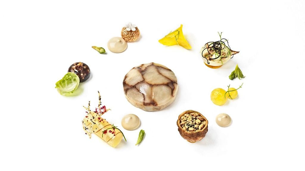 Tältä näyttää Eero Vottosen vegaaniannos Bocuse d'Or -kilpailuissa Lyonissa.