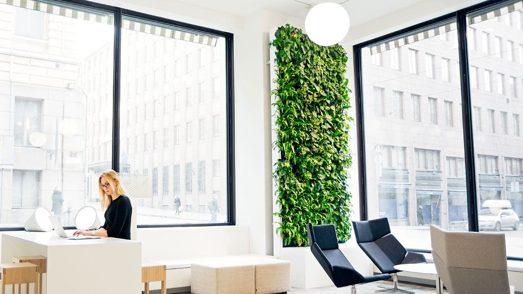 Kuva: Naava. Valokuvaaja Jussi Kämäräinen.