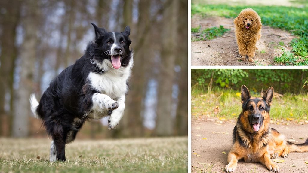 Yllättiko kolmen kärki?