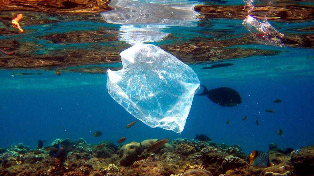 muovi, muovijäte, muovipussi