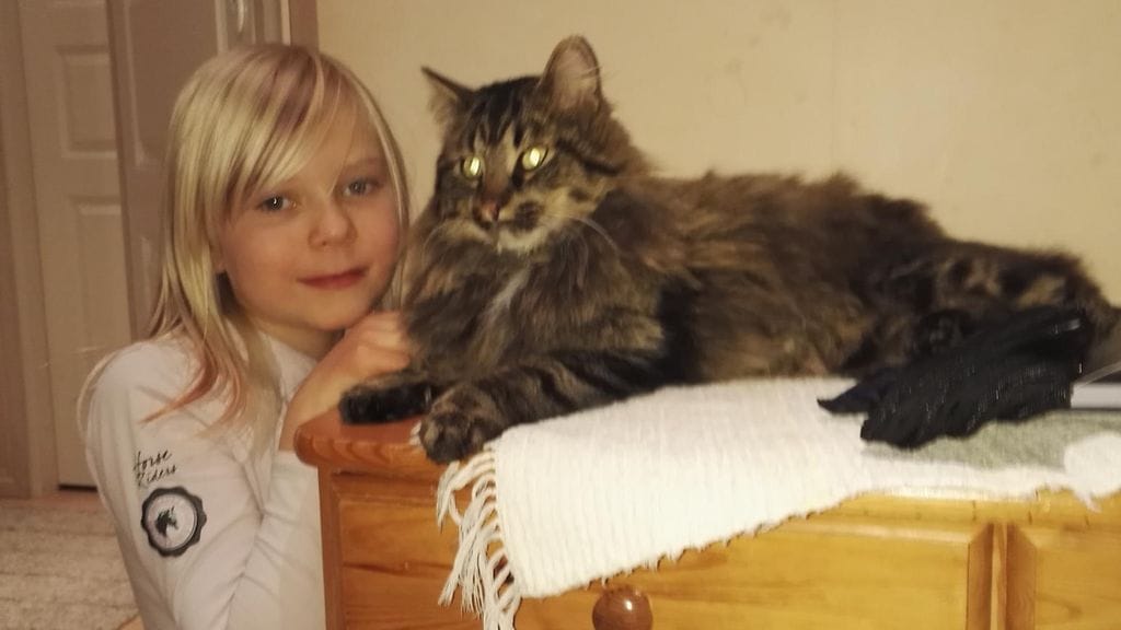 Myllymäkien Alina-tytär ei koskaan menettänyt uskoaan Leon löytymisen suhteen.