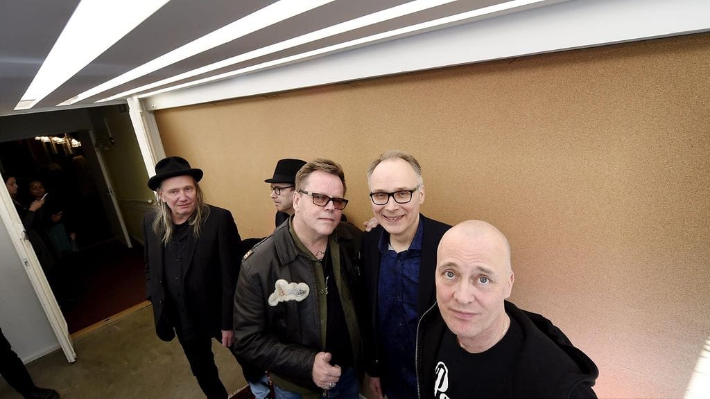 Dingo helmikuu 2017 2