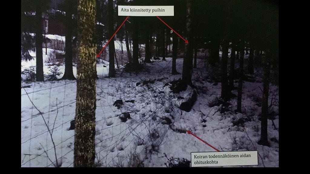 Koira todennäköisesti pääsi karkuun pihaltaan aidan ali. KUVA: POLIISI