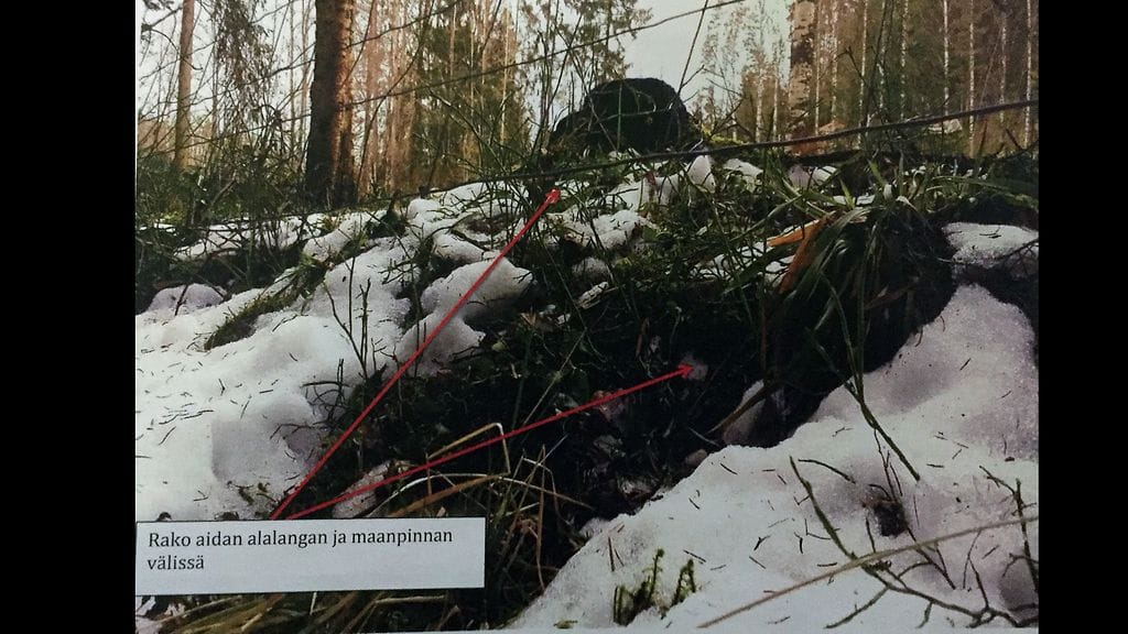 koira oikeudenkäynti 3