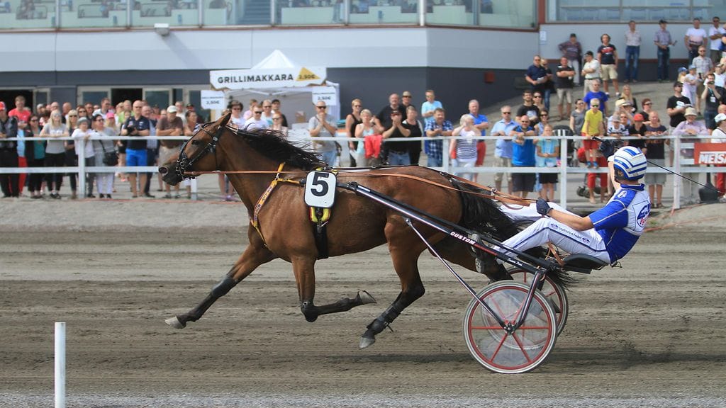 Kuvassa Joni-Petteri Irri ja Belly Button, joka starttaa Toto5-avauskohteessa.