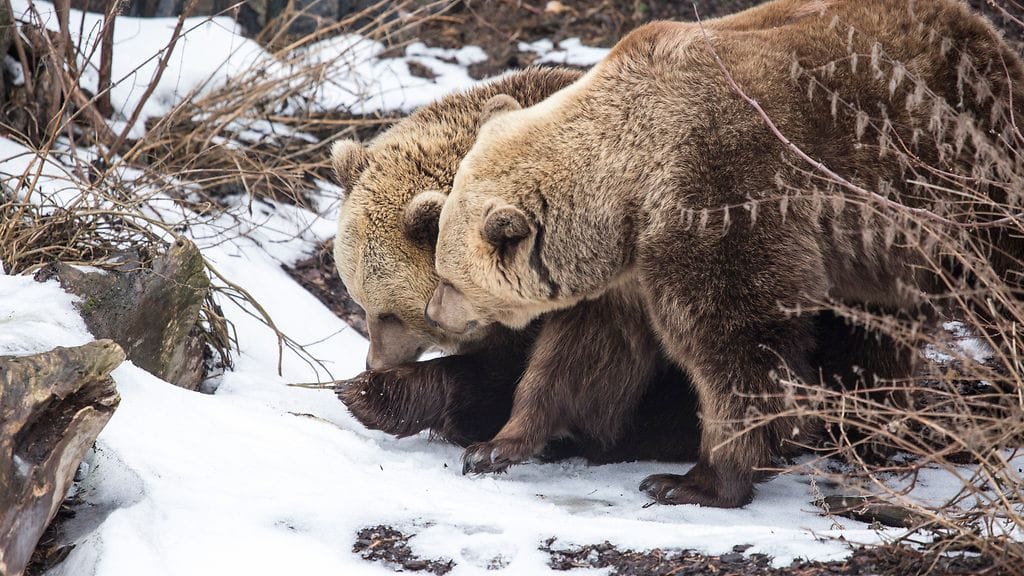 32949153505_4a9968f29b_k Korkeasaari