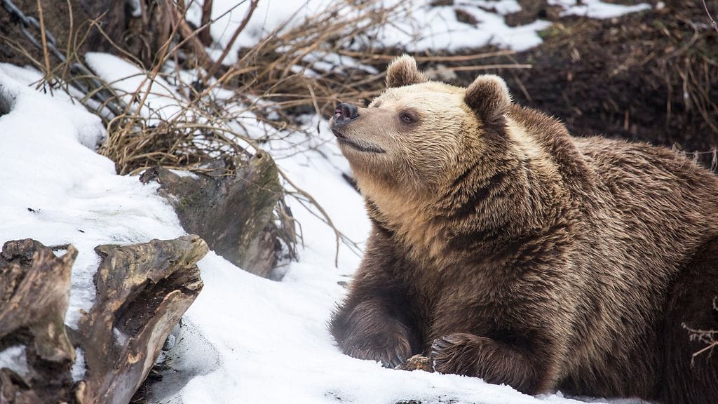 32824692991_1a8283ac25_k Korkeasaari