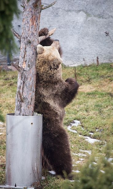 32824693721_afd429a626_k Korkeasaari