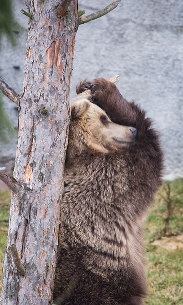 32824693351_3ad92fc22d_k Korkeasaari