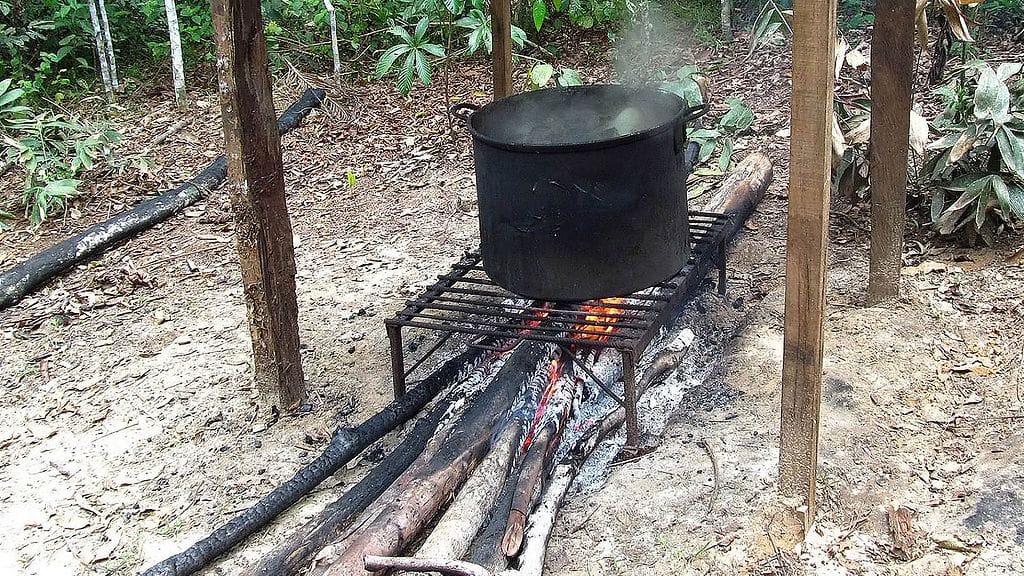 Ayahuasca_4