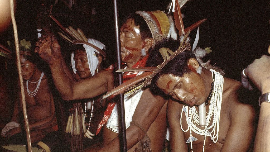 Ayahuasca