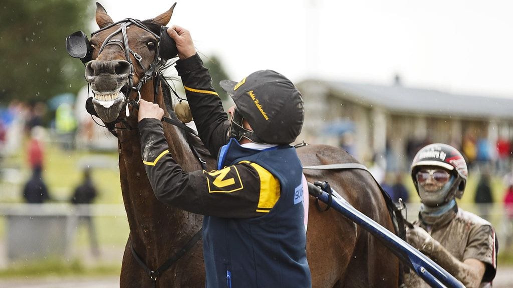 Venice Suur-Hollola-ajon voittajana.