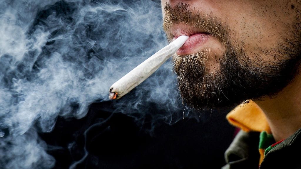 Virkavallan haaviin päätyi muun muassa 2,8 kiloa amfetamiinia, 13,3 kiloa marihuanaa, 900 grammaa hasista ja 410 kannabiskasvia. Kuvituskuva.