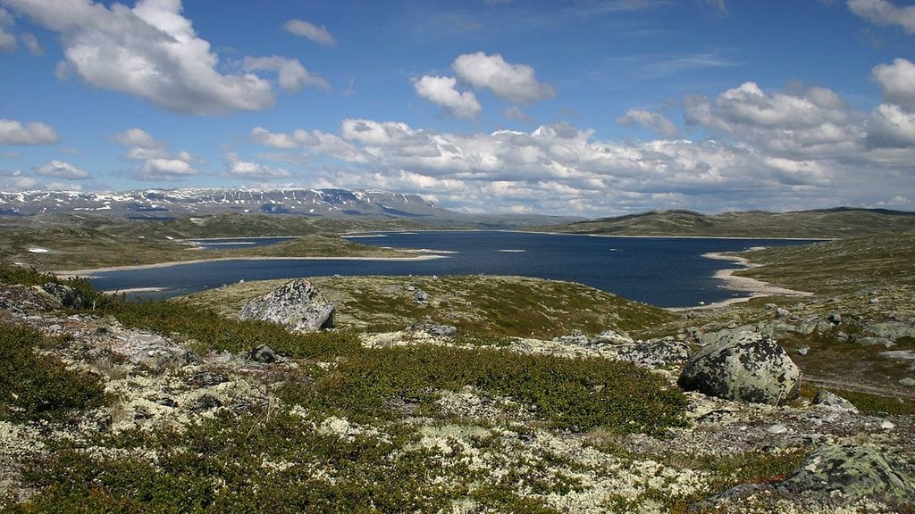 Hardangerviddaflora