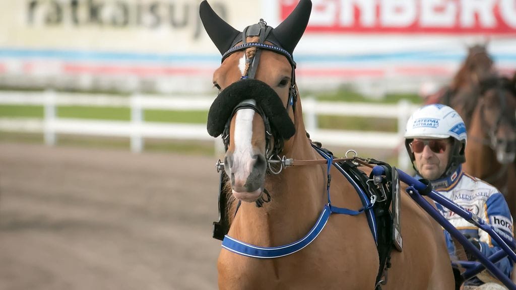 Siporin Santtu hakee tänään puhtaalla juoksulla voittoa.