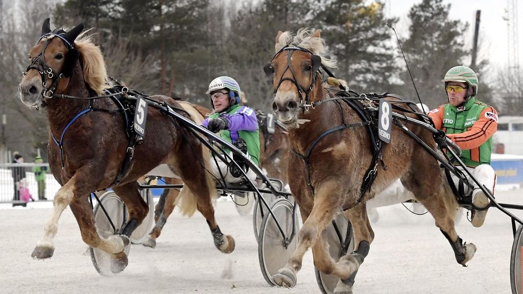 Costello, ohjastajana Risto Tupamäki (vas.) ja Polara ohjastajana Antti Tupamäki taistelussa. Arkistokuva.
