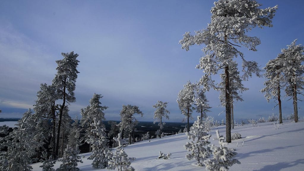 Pekka Hatunen, Paltamo, Kainuun Kivesvaara