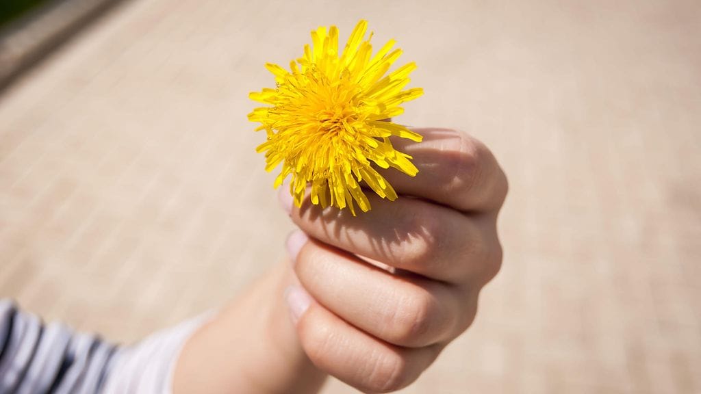 Äiti kehottaa kirjeessään poikaansa käyttäytymään kuin herrasmies.