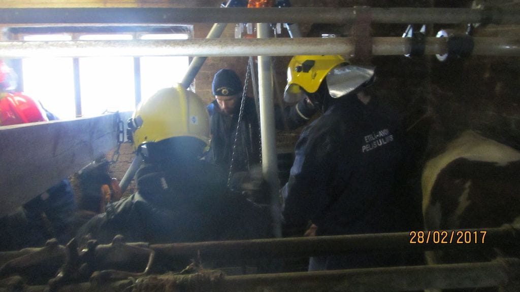 Lehmän pelastus Juvalla