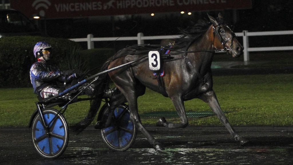 Olli Koivunen ohjastaa Ratu Royalea. Arkistokuva.