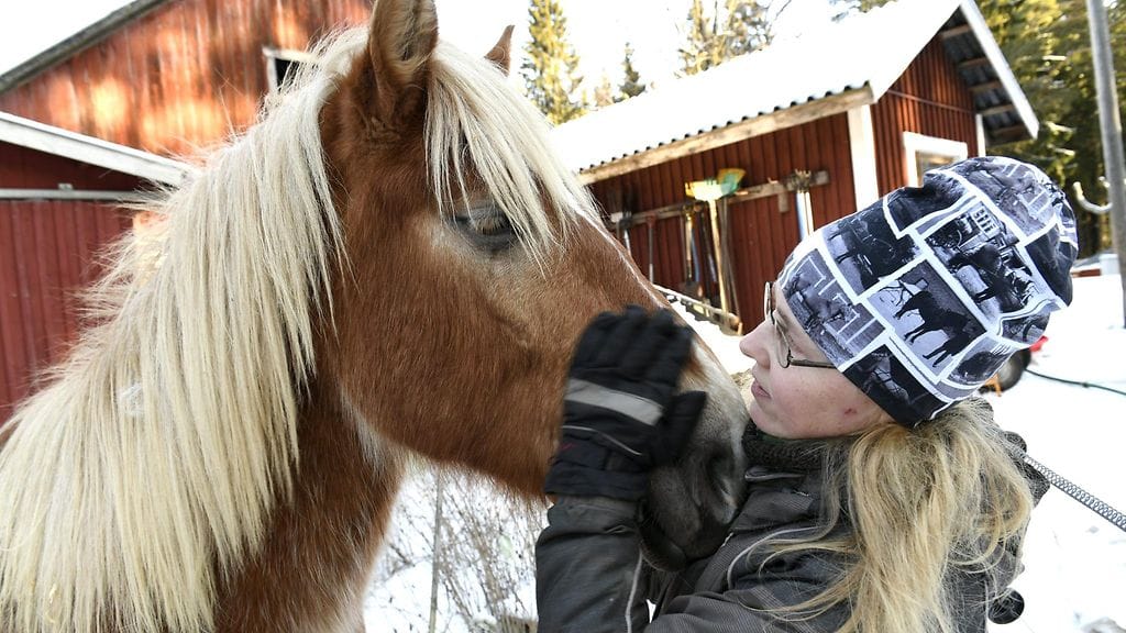 Suomenhevoskasvattaja ja yrittäjä Mirkka Lehtosen hevostallilla Nummelassa.