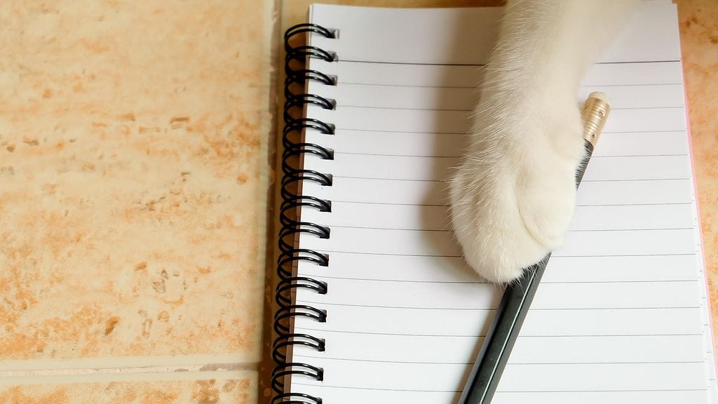 Omistaja hämmentyi löydettyään tuntemattoman ihmisen kirjoittaman viestin.