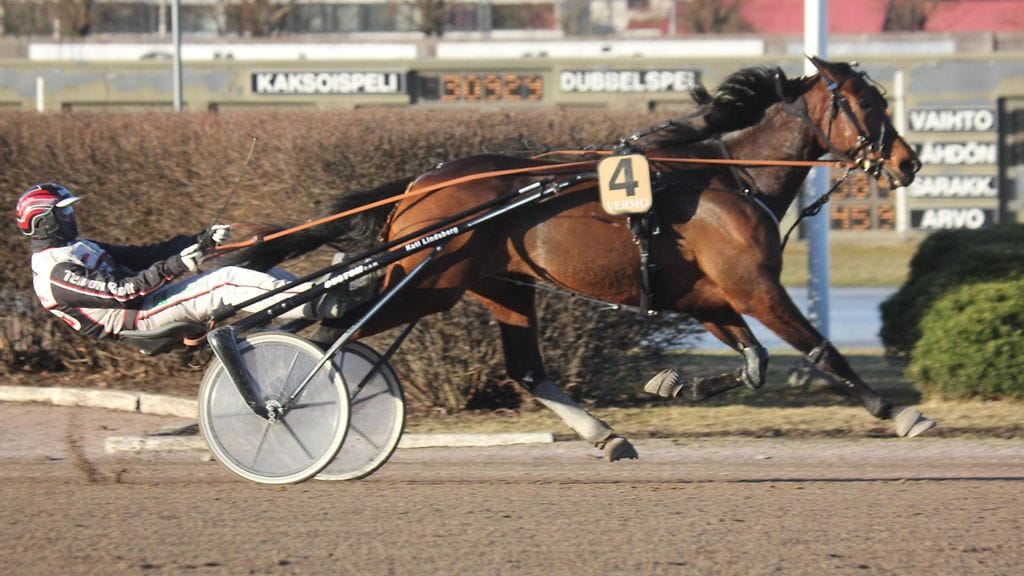 Mika Forss ohjastaa huomennakin Big Sky Hurricanea.