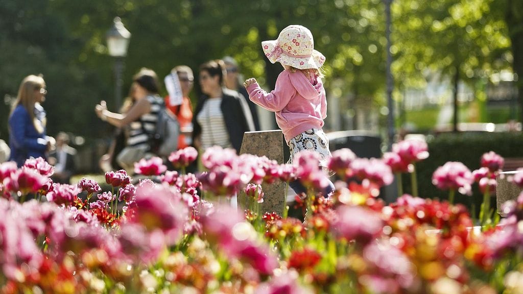 Aurinkoinen päivä Helsingin Esplanadin puistossa vuosi sitten.
