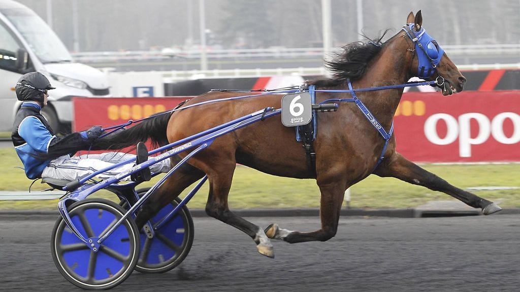 Björn Goop ohjasti Timokon uuteen kilpailuennätykseen.