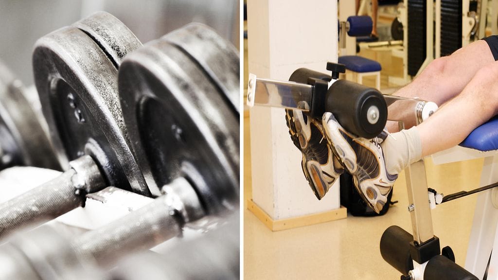 Vapaille painoille ja laitteille löytyy oma uskollinen koulukuntansa.