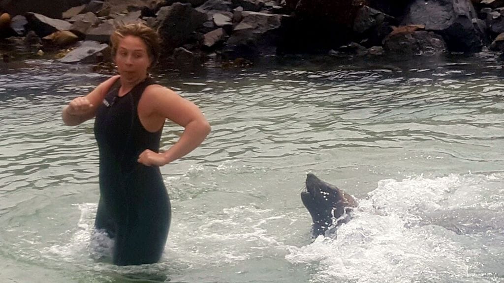 Läheltä piti! Kimmastunut hylje syöksyi brittinaisen perään.