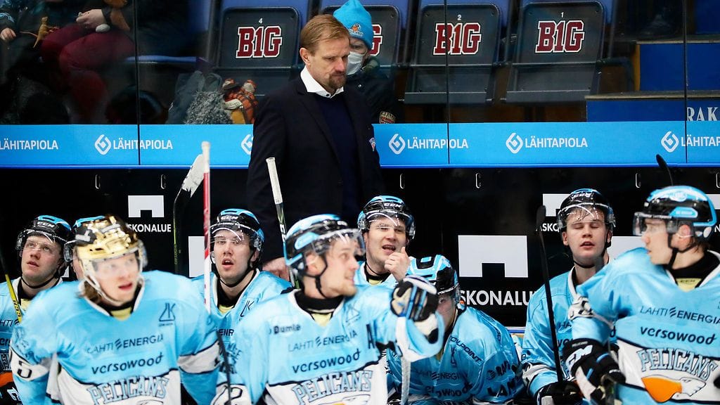 Pelicans. Arkistokuva.