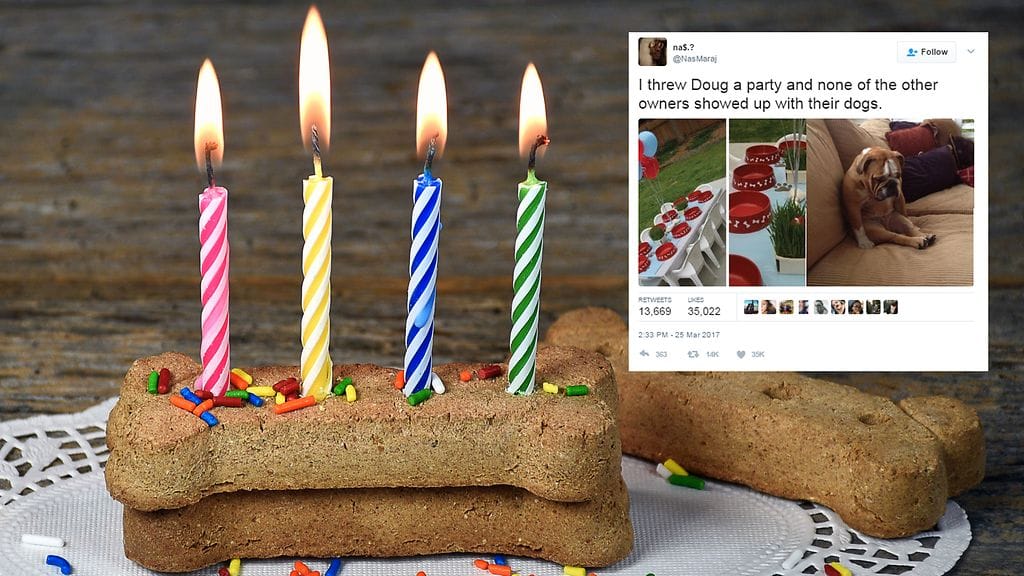 Kuvituskuva Shutterstock, toisen kuvan lähde Twitter.