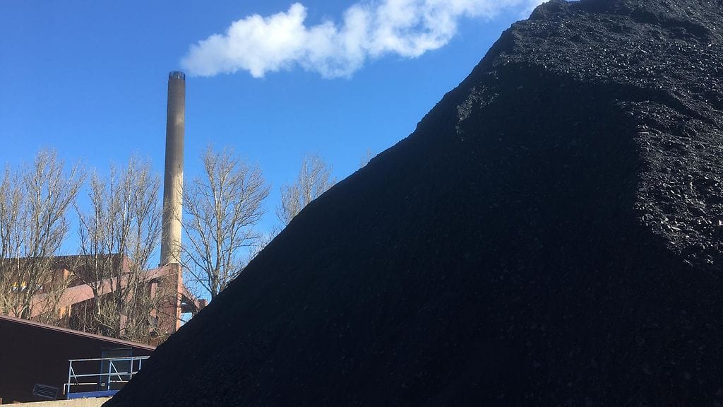 Kivihiili, Hanasaari, hiilikasa