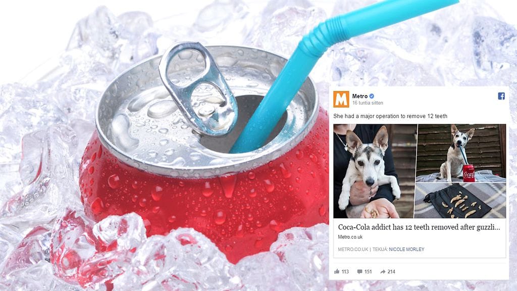 Kolasta luopuminen aiheutti koiralle pahoja vierotusoireita.