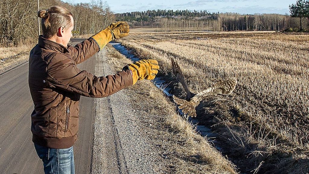 17436191_1834896936829228_7161385228041088724_o