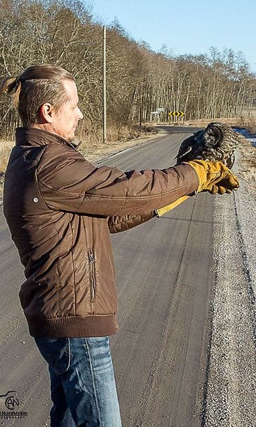 17493188_1834896873495901_4248860528205275817_o