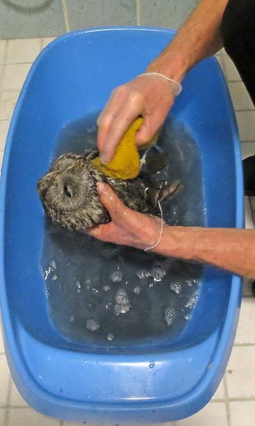 17505080_1834250030227252_2340248452059521978_o