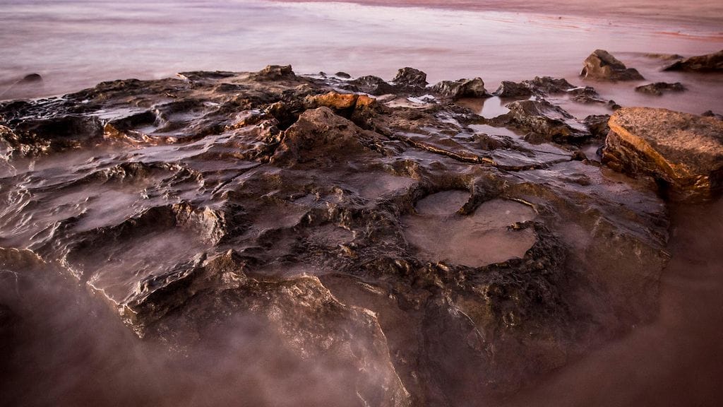 Queenslandin yliopiston kuva löydetystä maailman suurimmasta dinosauruksen jäljestä.