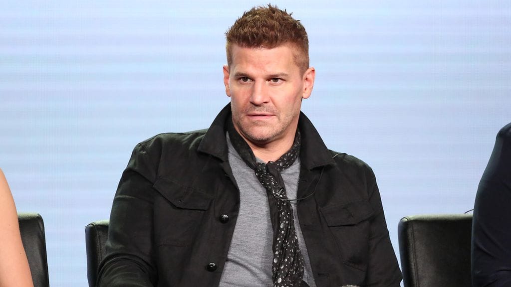 David Boreanaz 2017 Buffy
