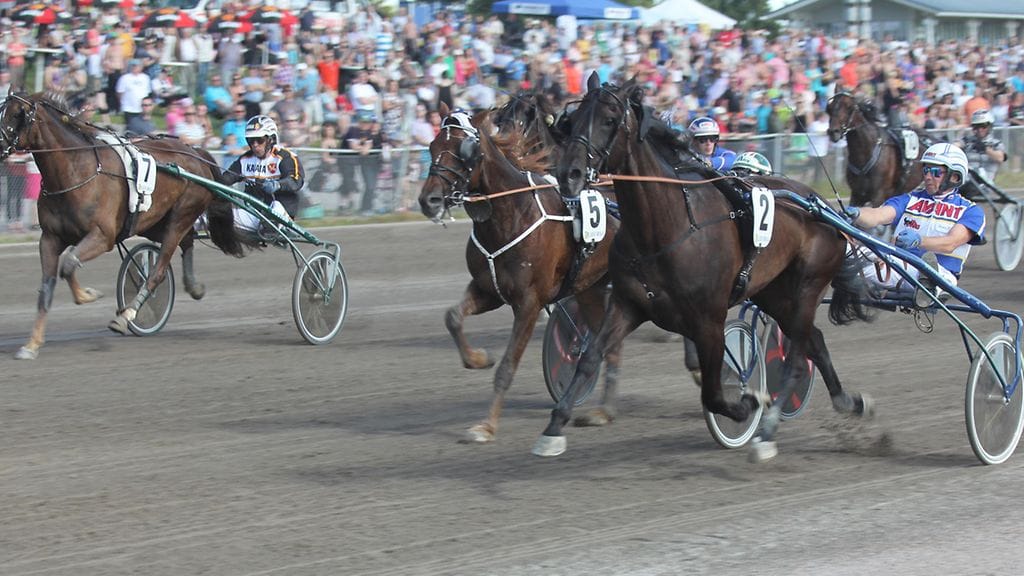 Seabiscuit (nro 2) ja Jorma Kontio Suur-Hollola-ajon välierän voittoon 5.7.2014.
