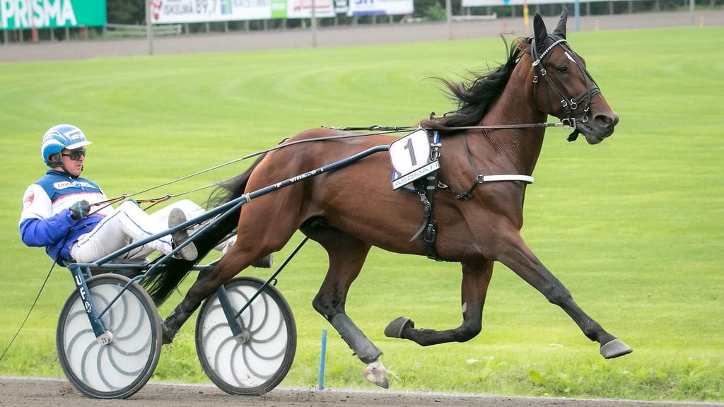 Hannu-Pekka Korpi ohjastaa tänään Express Duoa Toto5-pelin kolmannessa kohteessa.