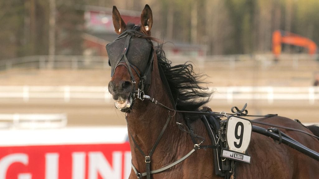 Inspis Arioso starttaa debyytissään Tapio Mäki-Tulokkaalta takarivistä numerolla 9.