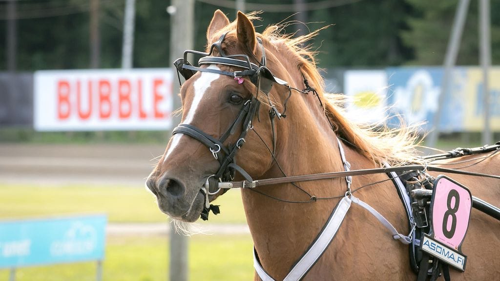 Tapsan Tahti starttaa Toto76-pelin viidennessä kohteessa.