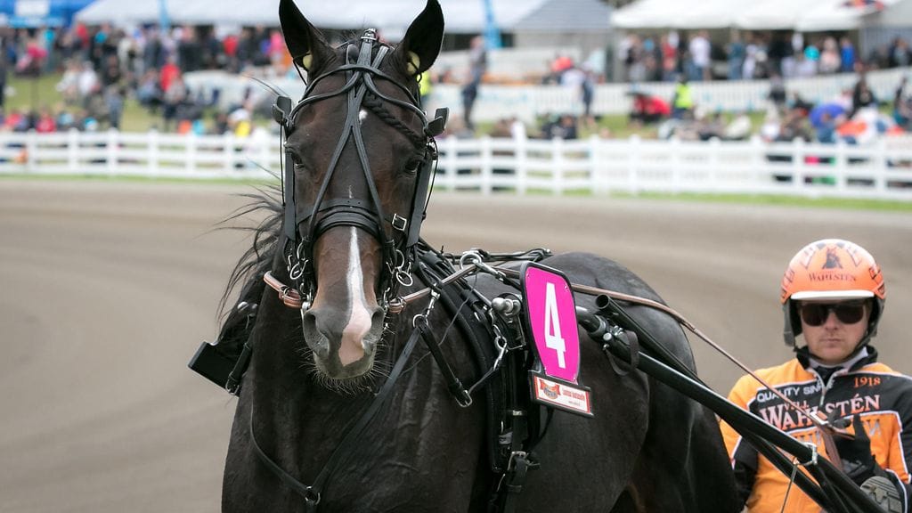 Workout Wonder edustaa Suomea Jubileumspokalenissa.