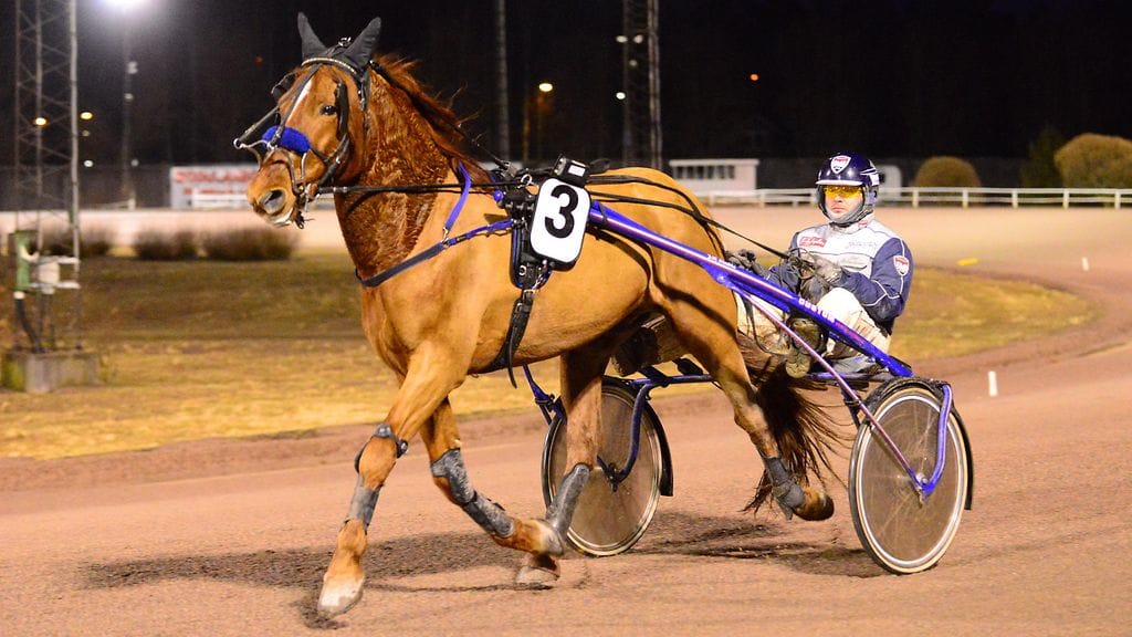 Jani Ruotsalainen on lauantaina Vieremällä paljon vartijana - mm. Piispalan Santerin rattailla.