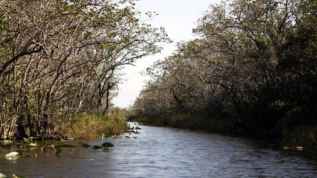 Coloradosta kotoisin oleva perhe sai lopulta helikopterikyydin pois erämaasta.