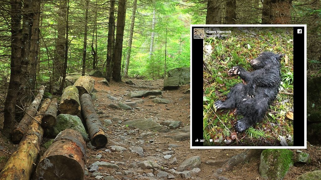 Kuvituskuva Shutterstock, toisen kuvan lähde Facebook.